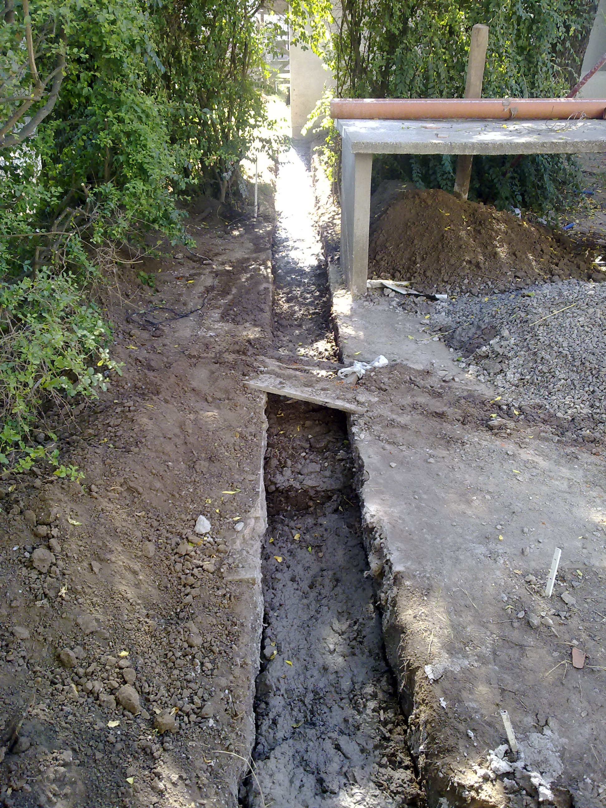 fotos/2010-03-14 - Simientos en la chiquilo/14032010236.jpg